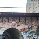 굴다리산곰장어 이미지