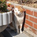 두류3동 이미지