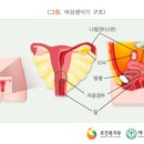 의료법인상운의료재단 동탄제일병원 이미지