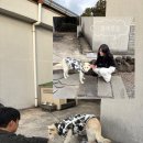 볼수록제주 | [제주도 / 애월읍] 제주도 감성 가득 + 고양이가 자주 출몰하는 제주 감성 카페 추천 '볼수록 제주'