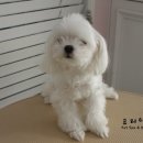 소미미용실 이미지