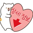 드림 태권도 이미지