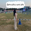 뷰티풀게이트 | 2025 뷰티풀 민트 라이프 (Beautiful Mint Life) 후기/내년에도 또 갈거임!!💚💛꿀팁, 준비물