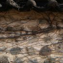 담장예쁜집 이미지