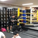 지앤비 짐 이미지