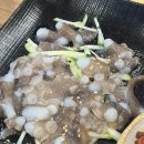 회양횟집 이미지