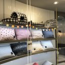 펫코스(Pet-cose) 이미지