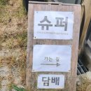 스테이홉스 이미지