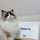 펫플러스 | 반려동물 펫 영양 종합 검사 페노비스 벳 케어플러스 후기