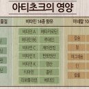 아티초크 호텔 이미지