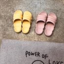 윤스레 이미지