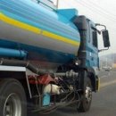 애견사랑 이미지