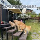 해마루민박 - 창원시 마산합포구 회진로 1398-133 | 경북 영주 애견 동반 펜션 배때기네하우스, 해마루 독채 바베큐 내돈내산 추천 후기