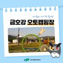 금호강오토캠핑장 이미지