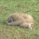 미주해장국 | 죽지 않고 돌아온 근황