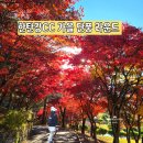 한탄강식당 | 가을 단풍 절정 철원 한탄강cc 날씨, 그린피 라운드 후기