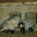 소사랑농장 이미지