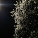 도치커피 이미지