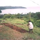 호산나농장 이미지