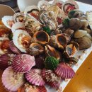 바다드림 이미지