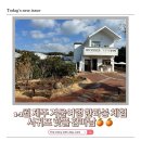 감따남 제주 1월 2월 여행 한라봉 따기 체험 서귀포 귤카페