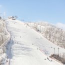 휘닉스파크 이미지