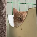 금동이네 이미지