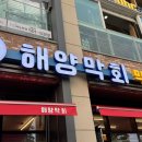 해양막회