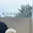 선샤인 동물병원 이미지