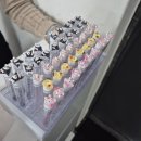 정아약국 | [화성/병점 속눈썹] 인생 첫 속눈썹펌✨ 블랙틴트펌 받고 눈매 또렷해진 후기!