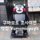 엔소프트 | 맛집 사쿠라노바바 조사이엔 야마미차야 아카규동 &amp; 오챠노이즈미엔 말차 아이스크림 후기 (카페인 주의!)