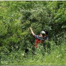 남진만농장 이미지