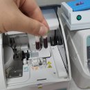 영국동물병원 이미지