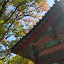 신평동1012 이미지