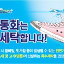세탁의모든것 이미지