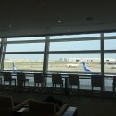 스카이라운지(Sky Lounge) 이미지