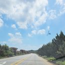 숭림산태봉골 이미지