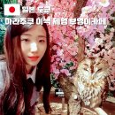 도쿄 하라주쿠 가볼만한곳 이색 체험 부엉이 카페