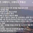 그레이스부동산중개 이미지