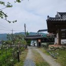 전주 한옥마을 근처 단체 숙소: 전주의 봄 펜션