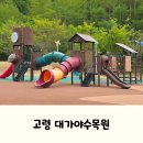 또바기 | 경북 아이랑 가볼만한 곳, 데이트 장소로 좋은 고령 대가야수목원