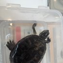 하안동물병원 이미지