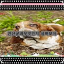 규암화원