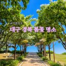 대조리 | 대구 경북 5월 봄꽃 명소 해맞이공원 대부잠수교 영천생태지구공원
