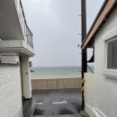 또,봄이네 이미지