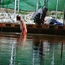 용연낚시터 이미지