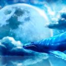 류카센타 이미지