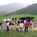 백두산 목장 이미지