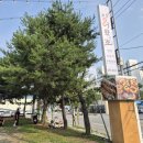 장어왔소(계백) 네이버블로그