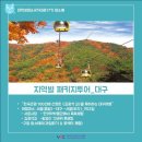 뉴스트래블 이미지